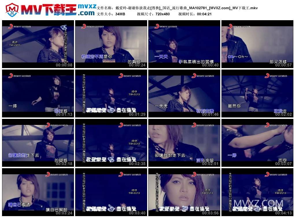 戴爱玲-谢谢你放我走[替换]_国语_流行歌曲_MA102781